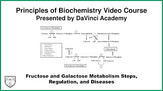 Fructose and Galactose Metabolism Steps Regulation and Diseases Metabolism 11 of 21 [upl. by Galitea447]