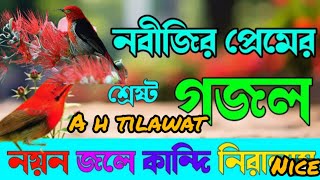 নয়ন জলে কান্দি নিরালায় দয়াল নবিজী সব রইলাম শুধু আপনারই আসায় birds গজল খুবই দুঃখের একটি গজল [upl. by Ecinahs]