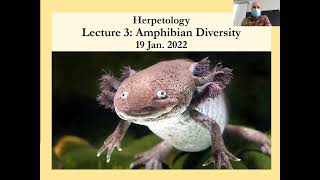 Herpetology Lecture 19 Jan 2022 [upl. by Birchard]