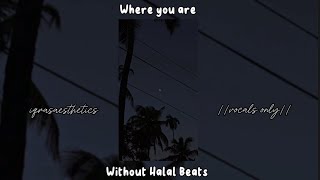 Where you are  Without halal beats  vocals only 💌🖤 [upl. by Sinnaiy]