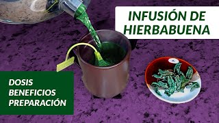 Cómo preparar Infusión de hierba buena  Beneficios y precauciones [upl. by Glovsky662]