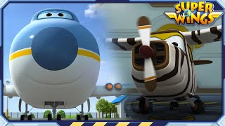 SUPERWINGS S1 BELLO amp BIG WING  Superwings  Super Wings  S1 Character Compilation [upl. by Youngman433]