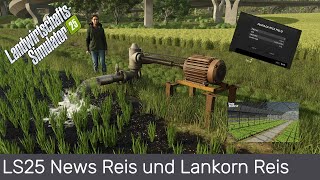 LS25 News Reis und Lankorn Reis [upl. by Athenian]