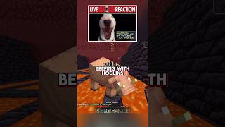 Beefing With Hoglins Now minecraft [upl. by Remark24]