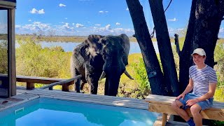 Wilderness Vumbura Plains 5star luxury in Botswanas Okavango Delta lodge tour amp safari [upl. by Cuttler]