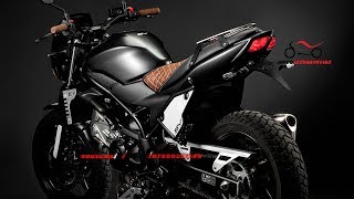 New Suzuki SV650 Scrambler  SUZUKI SV650 KIT BY C RACER  Official SV650 retro cafe racer [upl. by Schifra]