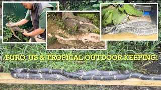 SNAKES outdoor enclosure update spring 2024 [upl. by Ober]