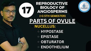 HYPOSTASE EPISTASE OBTURATOR ENDOTHELIUM Reproductivebiology ofangiosperms17 3 5TH SEMESTER [upl. by Vasiliu]