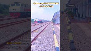 kereta api GAJAHWONG CC 203 93 01keretaapi shortviral railfans train railway shorts [upl. by Ileyan488]