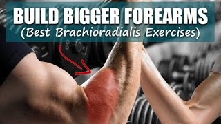 Build Bigger Forearms Best Brachioradialis Exercises [upl. by Atekehs742]