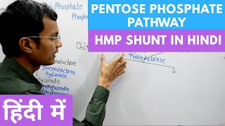 Pentose Phosphate Pathway  Hexose Monophosphate Shunt in Hindi [upl. by Htezzil]