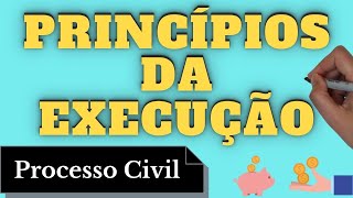 Princípios da Execução Processo Civil  Resumo Completo [upl. by Shermy467]