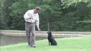 TriTronics Dog Basic Training Part 2 of 2 [upl. by Cynthia]