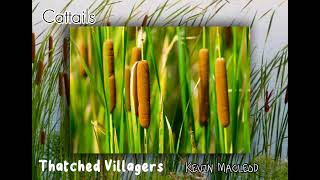 Cattails  Thatched Villagers by Kevin Macleod [upl. by Luap412]