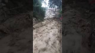 Reporte de huaico en CRL La Cantuta  250117 [upl. by Daveda454]