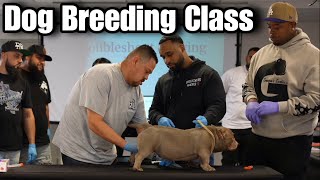 Dog Breeding Mentorship amp Canine Reproduction Seminar [upl. by Landrum108]