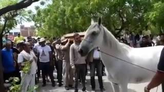 Caballo llora desconsolado en funeral de su dueño [upl. by Ritter]