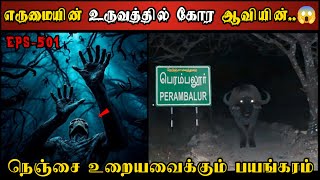 Real Life Ghost Experience in Tamil  நெஞ்சை உறைய வைக்கும் திகிலின் உச்சம்  Shivas Investigation [upl. by Lunt]