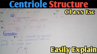 Centriole Structure Functions And Composition  Class 11 Biology [upl. by Ogaitnas867]