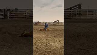 Tough run in the Tie Down Roping at the CPRA in Julesburg rodeo horse rodeolife tiedownroping [upl. by Nair]