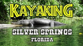 Kayak wGators amp Monkeys  Silver Springs FL [upl. by Ahsac]