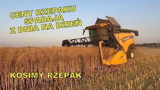 CENY RZEPAKU SPADAJĄ A MY KOSIMY SWÓJ PIERWSZY RZEPAK  JAK WYGLĄDA NEW HOLLAND AgroLovers [upl. by Grindlay]