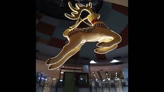 trinoma 2024 christmas deer [upl. by Marin101]