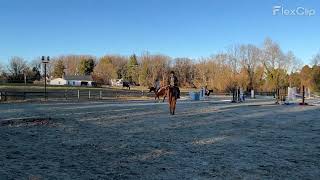 April Blandeburgo Equine Science Video ‑ Made with FlexClip [upl. by Ynttirb]