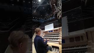 PÄRLEPORTEN I MUSIKHUSET I HELSINGFORS med organist Elis Helenius shorts shortsfeed [upl. by Garwin]