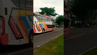 Bus Rosalia Indah New Skylender Gantheng Hino rm 280 shorts [upl. by Yemac493]