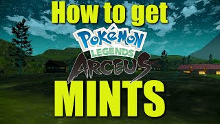 Pokemon Legends Arceus  How to get Mints [upl. by Lind611]