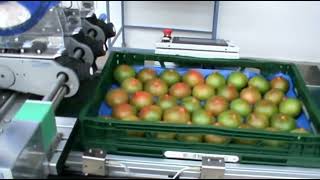 Produce labeling with Bizerba label dispenser LDI 20 [upl. by Ytirahs634]