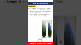 Citrate utilization test Biochemical tests  Microbiology  by ImranY aseen [upl. by Pinzler]