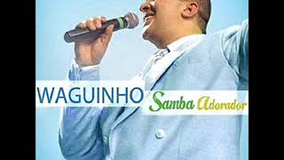 Pensando Bem  CD Waguinho Samba Adorador [upl. by Atarman]