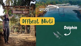 निवतीची आगळीवेगळी भटकंती  Nivtis Hornbill Nest [upl. by Fita]