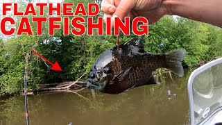 TIPS to Help You Catch MORE FLATHEADS [upl. by Dawkins]