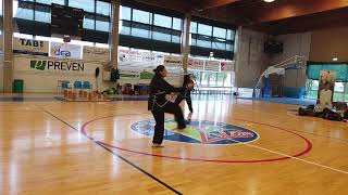 Chen Style Taijiquan Fan and Sword at the Symposium New Martial Project  Bologna October 6 2024 [upl. by Aerdnuahs]