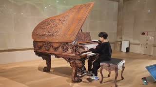 200억 상당 세계 유일한 로댕이 조각한피아노🎹Antique Blasius amp Sons Custom Carved Grand Piano 제주도 피아노 박물관 [upl. by Georgiana]