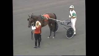 2001 Meadowlands SISTER SAMMY Tom Haughton 2YO Fillies Trot [upl. by Bryana]