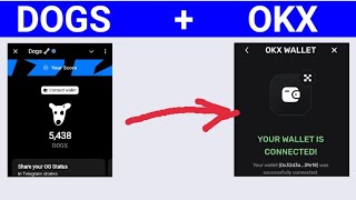 How To Connect Dogs To Your OKX Wallet Address  Connect OKX Wallet To Dogs [upl. by Ayhtnic88]