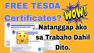 Free Tesda Certificates  Online Training  Easy access [upl. by Ajed]