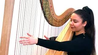 Hasselmans  Feuilles DAutomne Serenade Mélancolique Op45  Harp Zita Silva [upl. by Orvan]