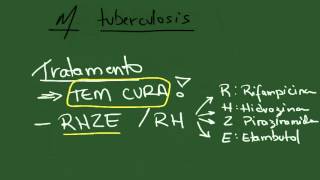 Mycobacterium tuberculosis e leprae  Resumo  Microbiologia [upl. by Ahkeber271]