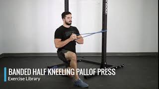 Banded Half Kneeling Pallof Press [upl. by Kippie]