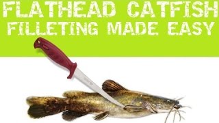 Flathead Catfish Filleting made easy [upl. by Schwerin]