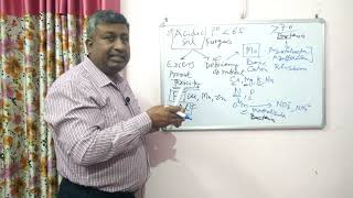 Nutrient Toxicity and Deficiency in Acidic Soils [upl. by Lleihsad]