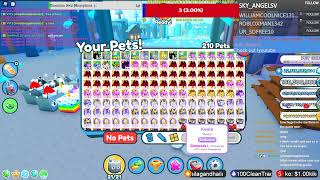 OMG HUGE RAINBOW HACKED DONATION FROM mispineapplepaula Pet Simulator X PetSimX PSX PetSimulatorX [upl. by Rachael]