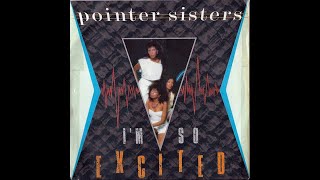 Pointer Sisters  Im So Excited 1982 Disco Purrfection Version [upl. by Airegin]