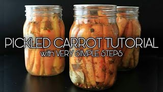 Pickled Carrots Tutorial  Pickling Process  Basic Food Preservation [upl. by Alidus]