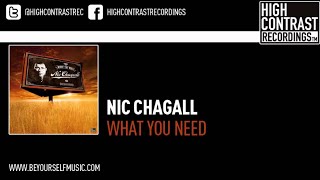 Nic Chagall  What You Need Original Extended [upl. by Colbye]